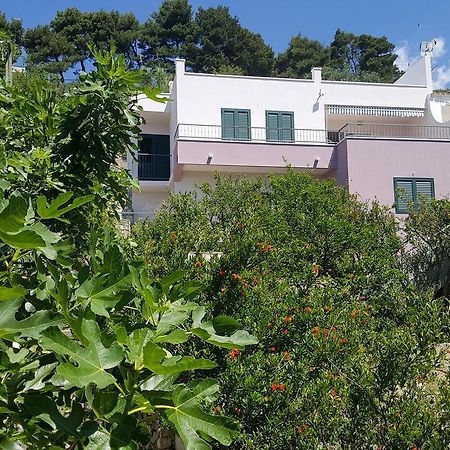 Apartments Pero Podgora Bagian luar foto